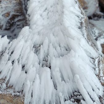 摩訶不思議な模様(氷の華)