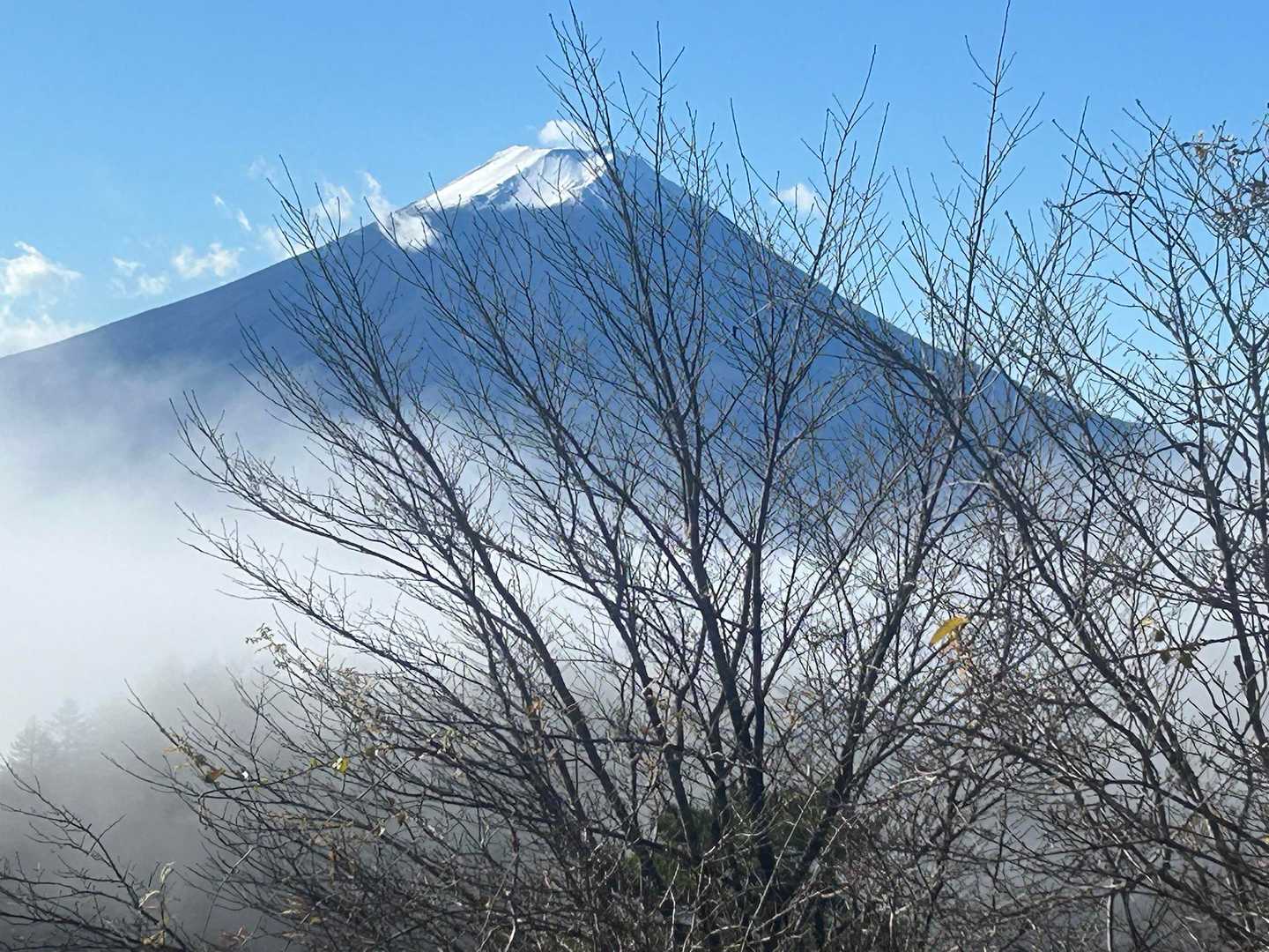 三ッ峠山登山口-三ッ峠山-木無山 往復コースの写真