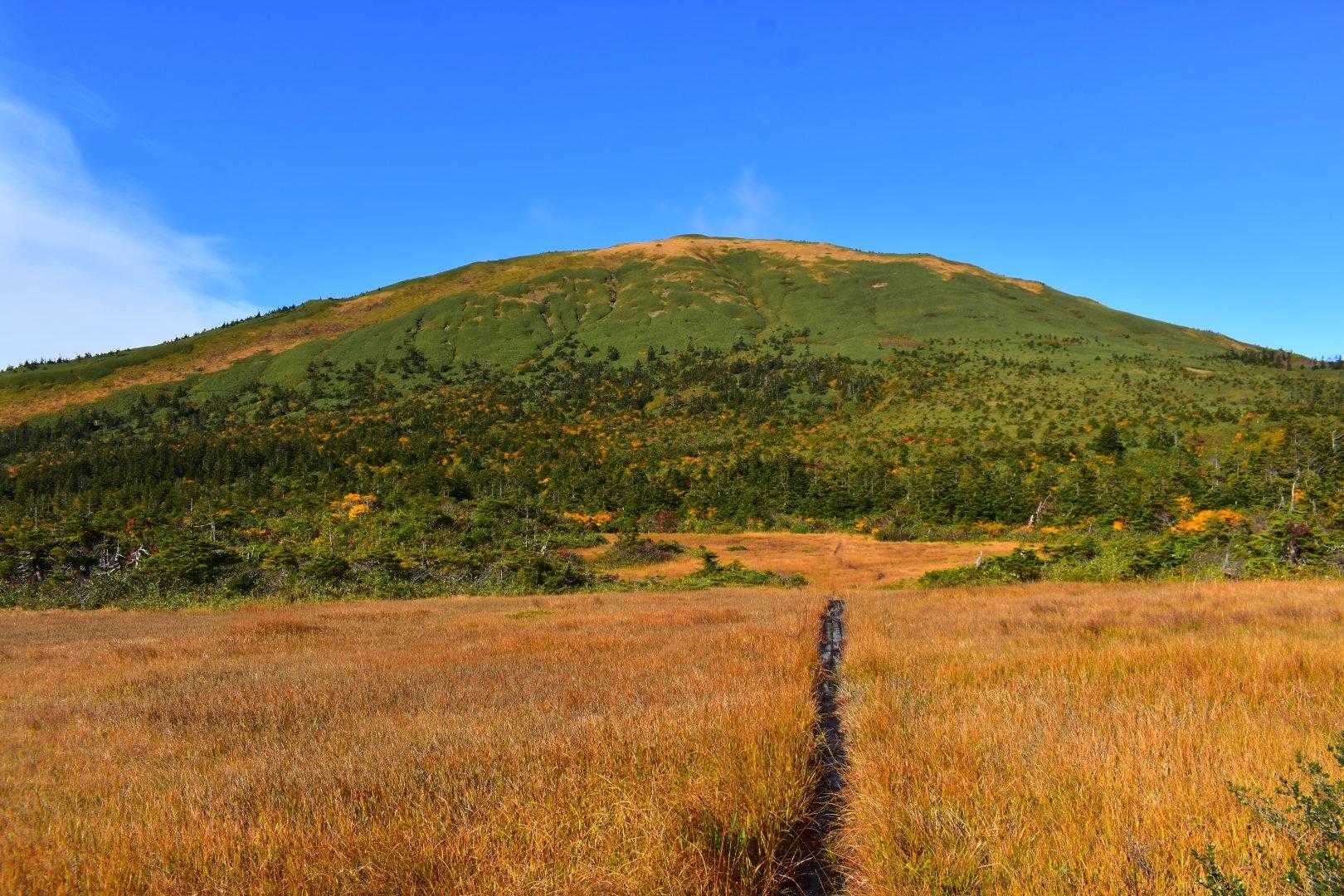 なんともたおやかな山容
