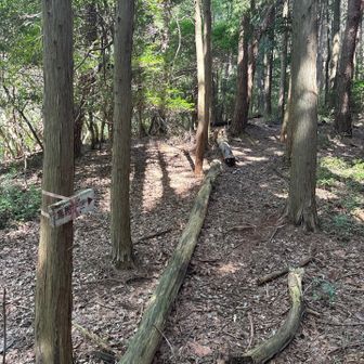 烏帽子方面へ行ってみる。