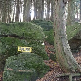 急登を登って薬師の頭へ向かう