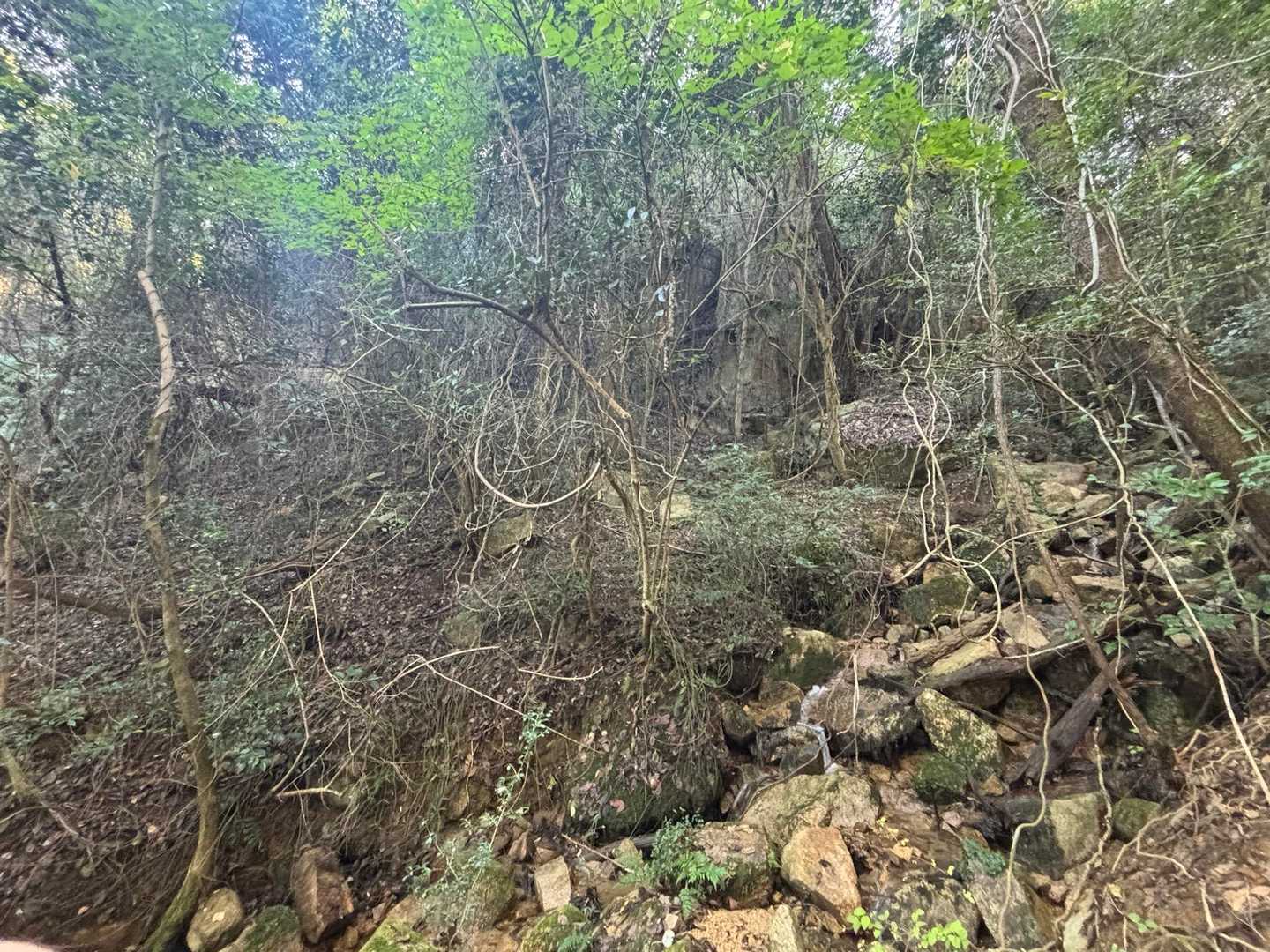 鍵山-城山 周回コースの写真