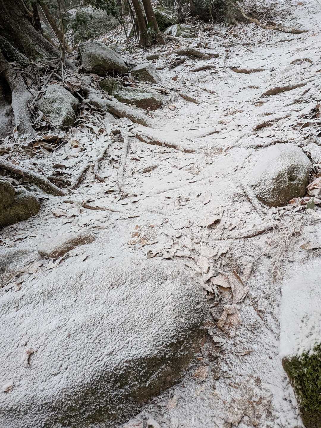 ず〜〜〜っとカッチンコッチンの硬い地面でした😧
雪というより、灰をかぶった感じに見えました。