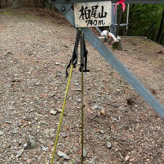 山頂には鉄塔があります。
