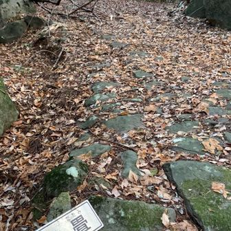 最後は［石畳］で合流

参道だけじゃなく…ちょっと山道も歩きたい👣
そんな人向けの周回コースでした👌