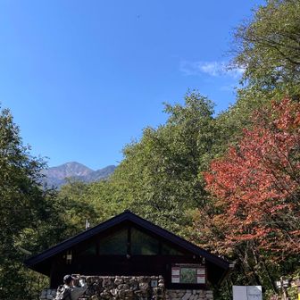 無事下山！とホッとしたのも束の間、
林道を歩き始めてすぐ、30mほど前方に熊が斜面から飛び降りてきた😱
じっと見つめること数秒、ゆっくり沢の方へと去ってくれましたが…
ひたすら熊鈴鳴らして声を出して歩きました！