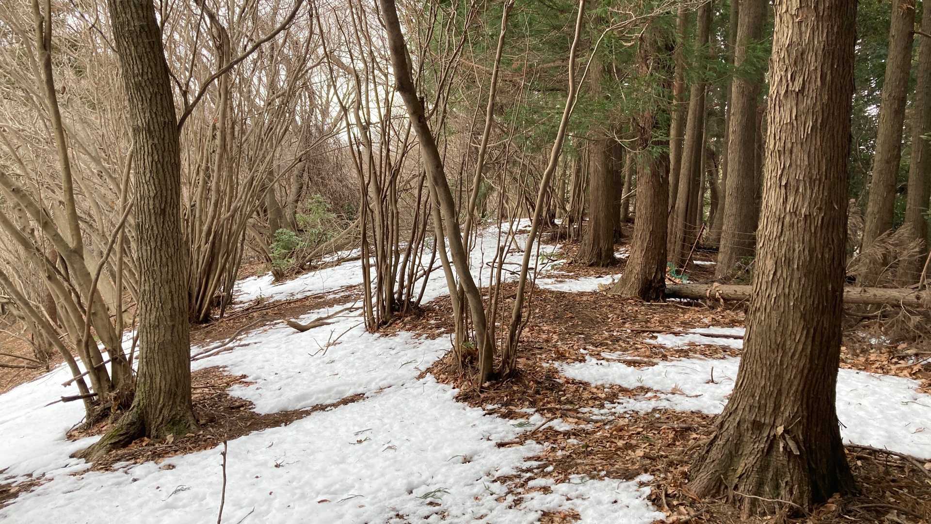 この辺りが最初のピーク煤ヶ谷高取山だけど何もないね。
残雪がチラホラ出てきた
