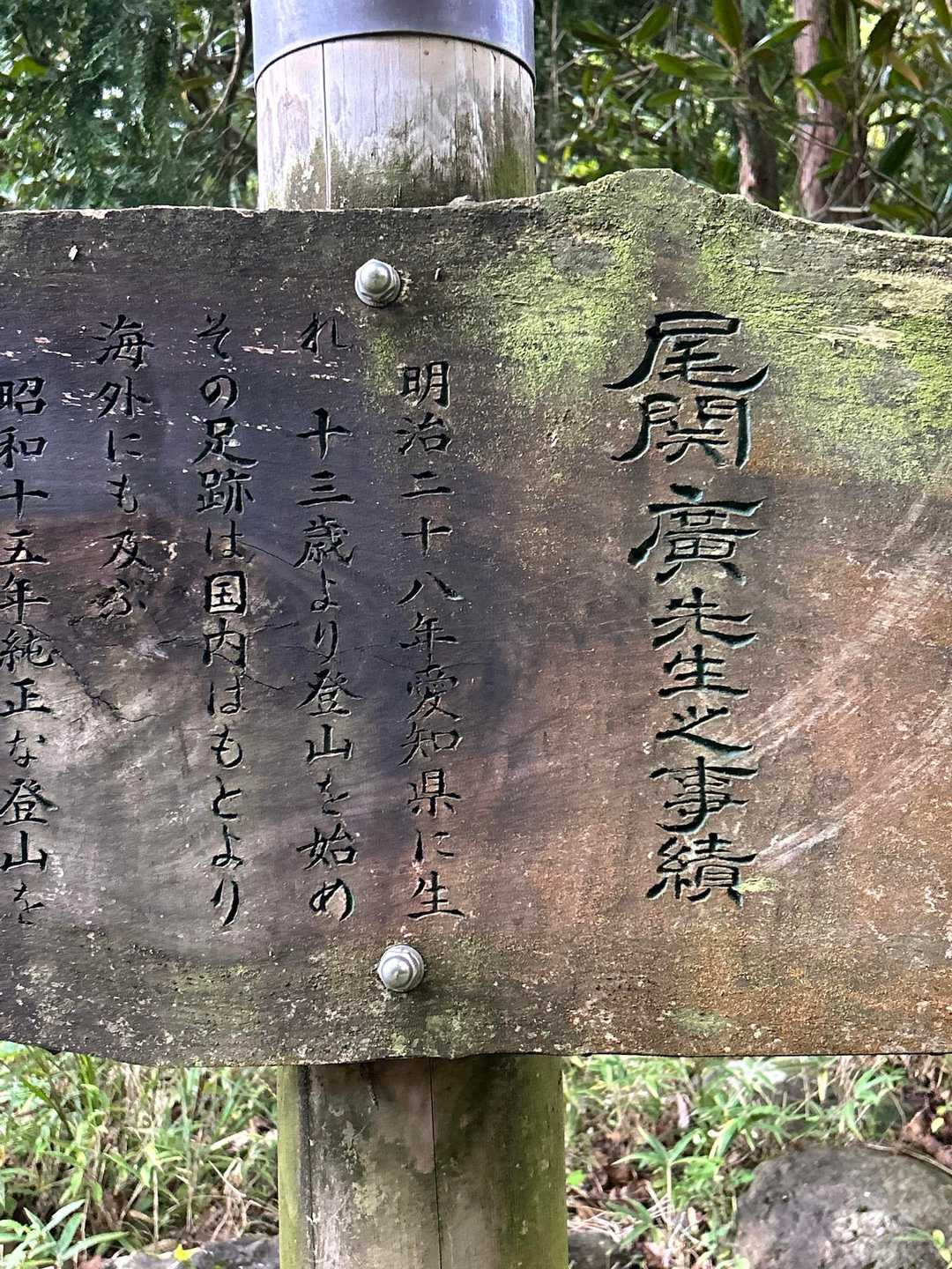 これだった