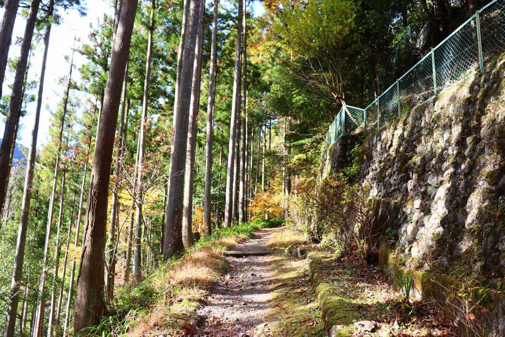 歩きやすい道が始まります。