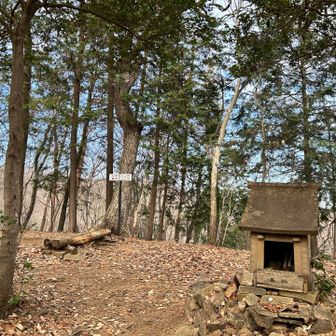 30分ほどで最初のピーク赤沢富士