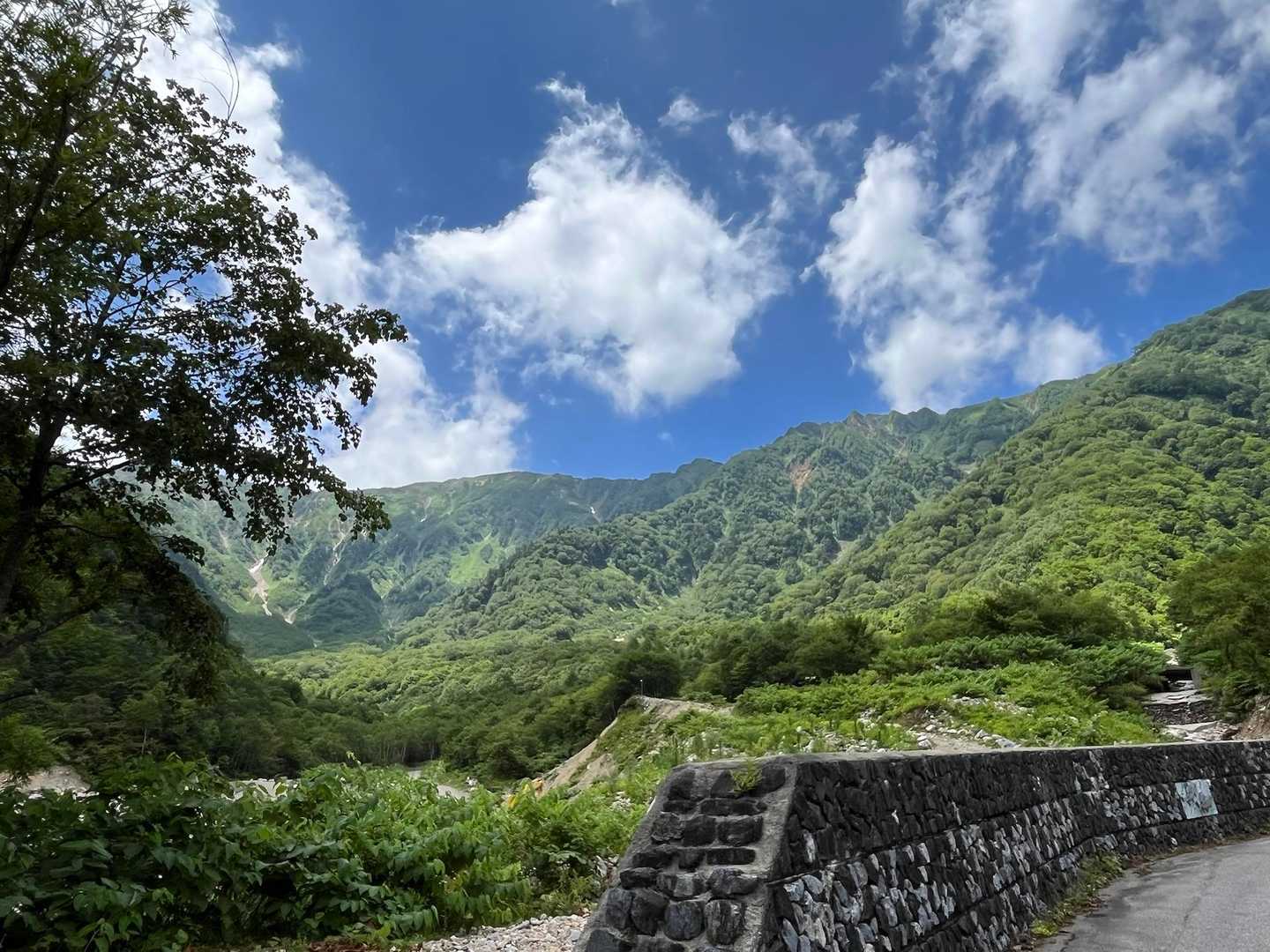 下山すると山頂は晴れ、あるある😆