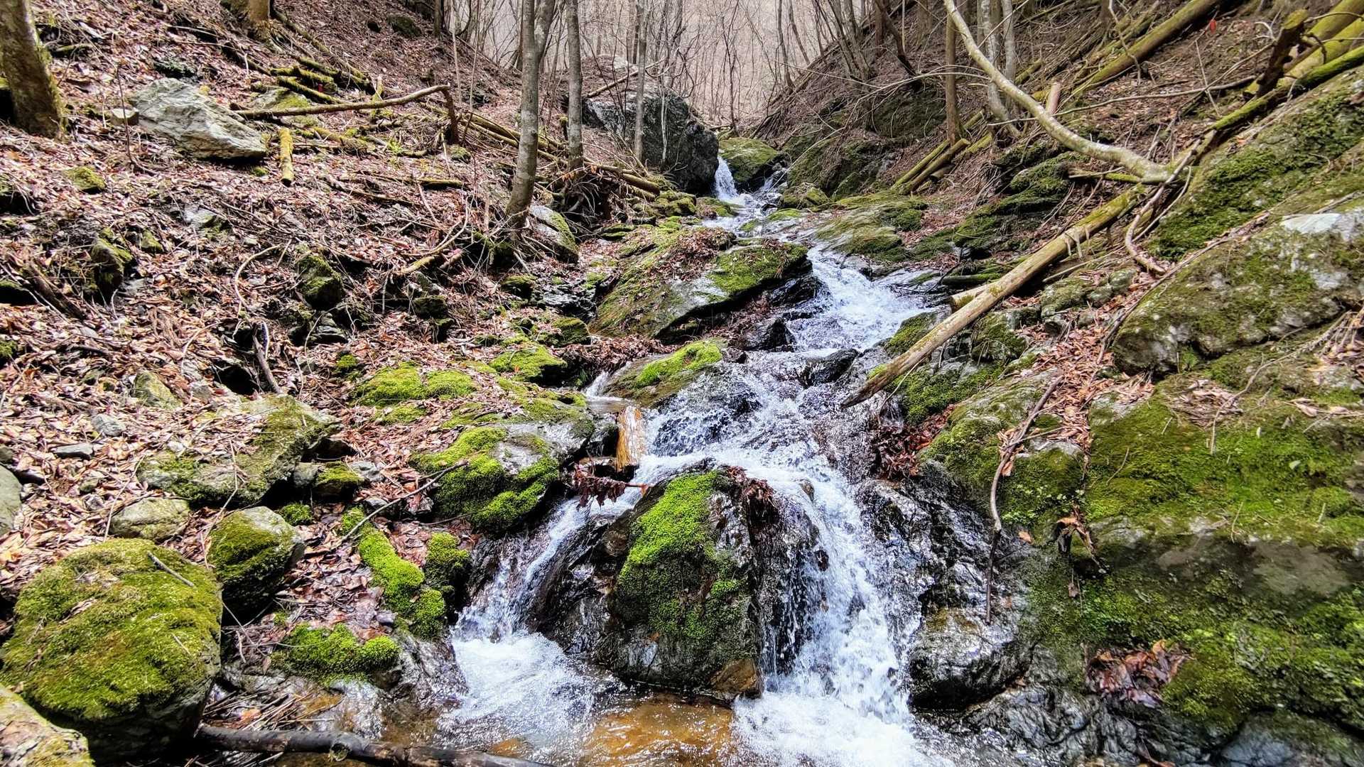 滝沿いに登って行きます📸