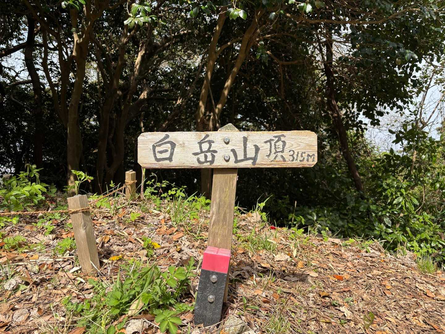 立花山 周回コースの写真