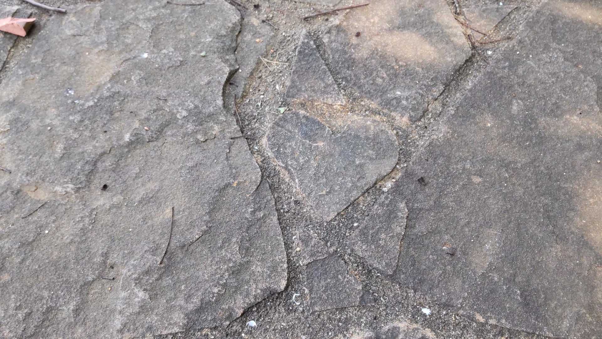 下りに、もう一度♥️
そこに居た方から
何があると？と聞かれるw