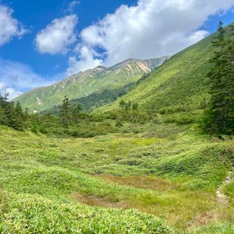 少し森を歩いて抜けるとこの景色ですね🥰