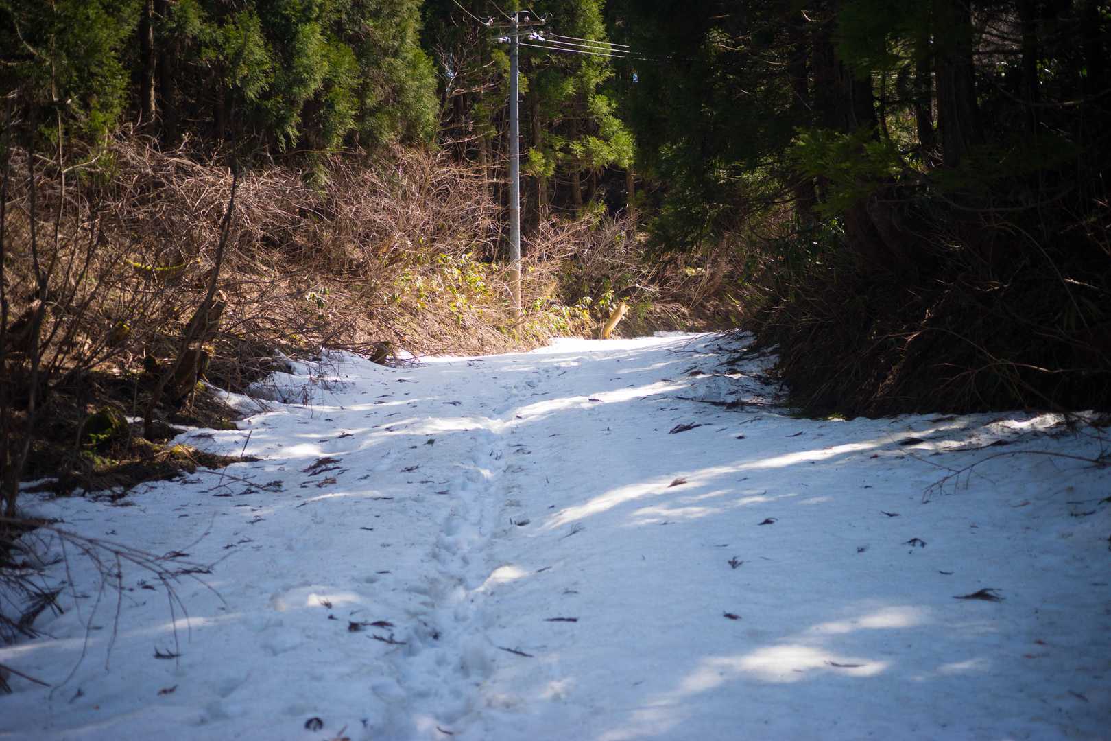 雪の中を歩いて下山