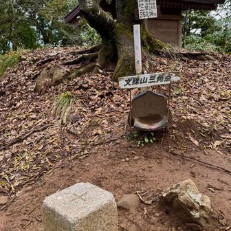 奥の院に三角点△あります
