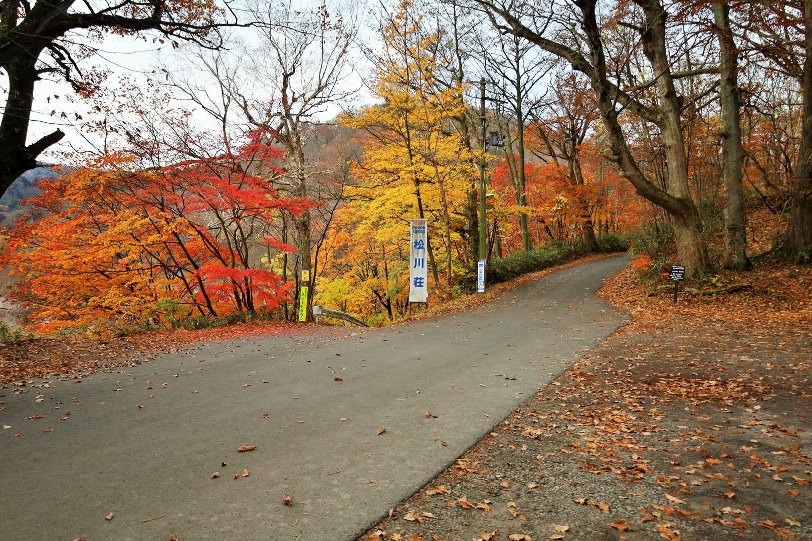 この辺りはまだ紅葉しています。