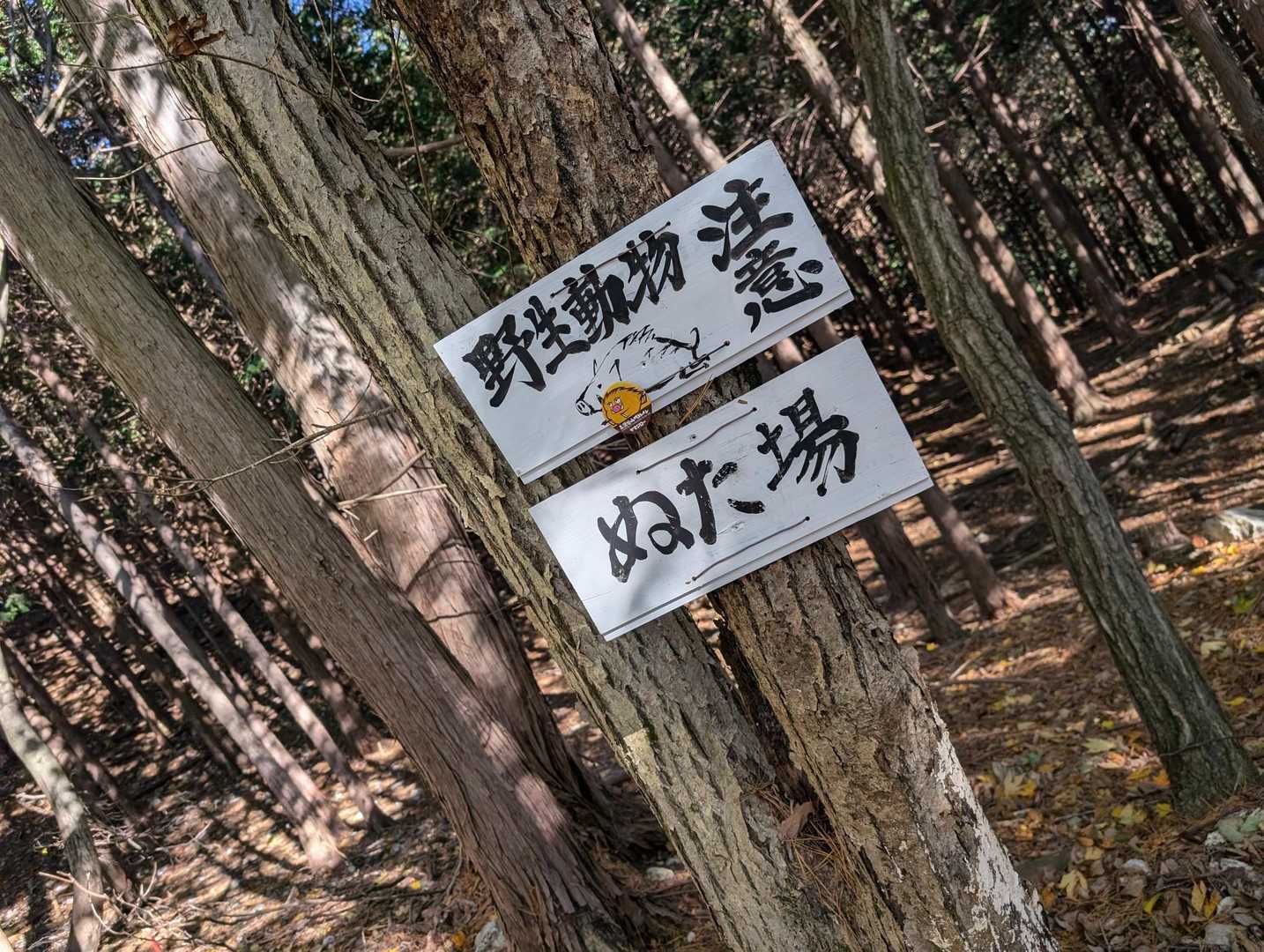 白樫城登り口石碑-白樫城址登山口-小島山 往復コースの写真
