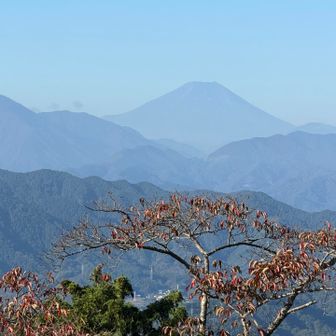 今日は富士山バッチリ👌まだ白くは無いですね。