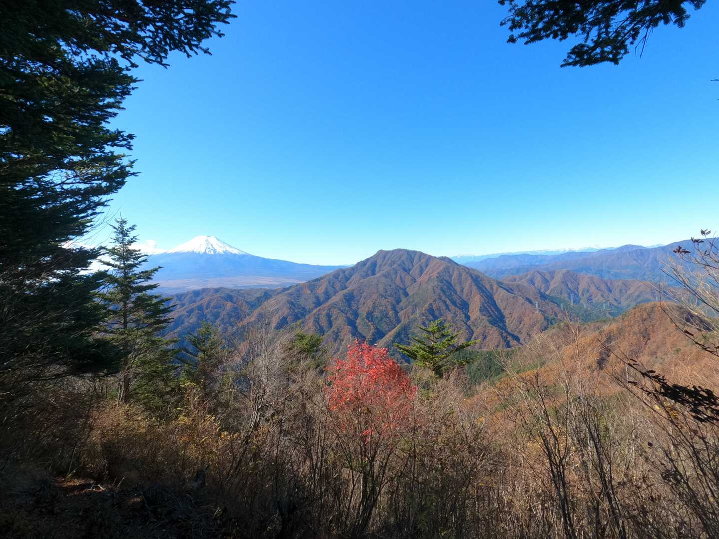 展望台からの景色