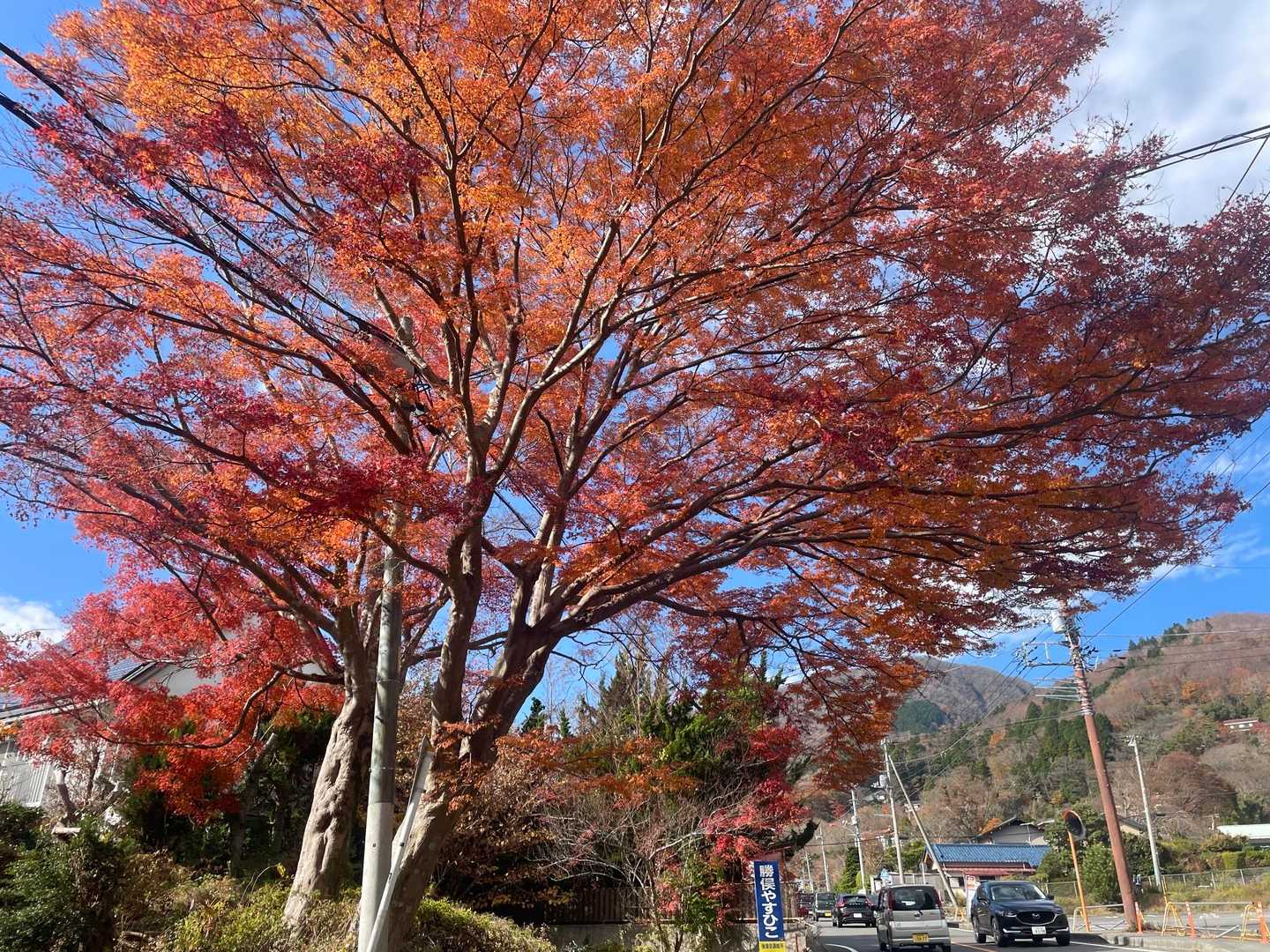 麓は紅葉きれい