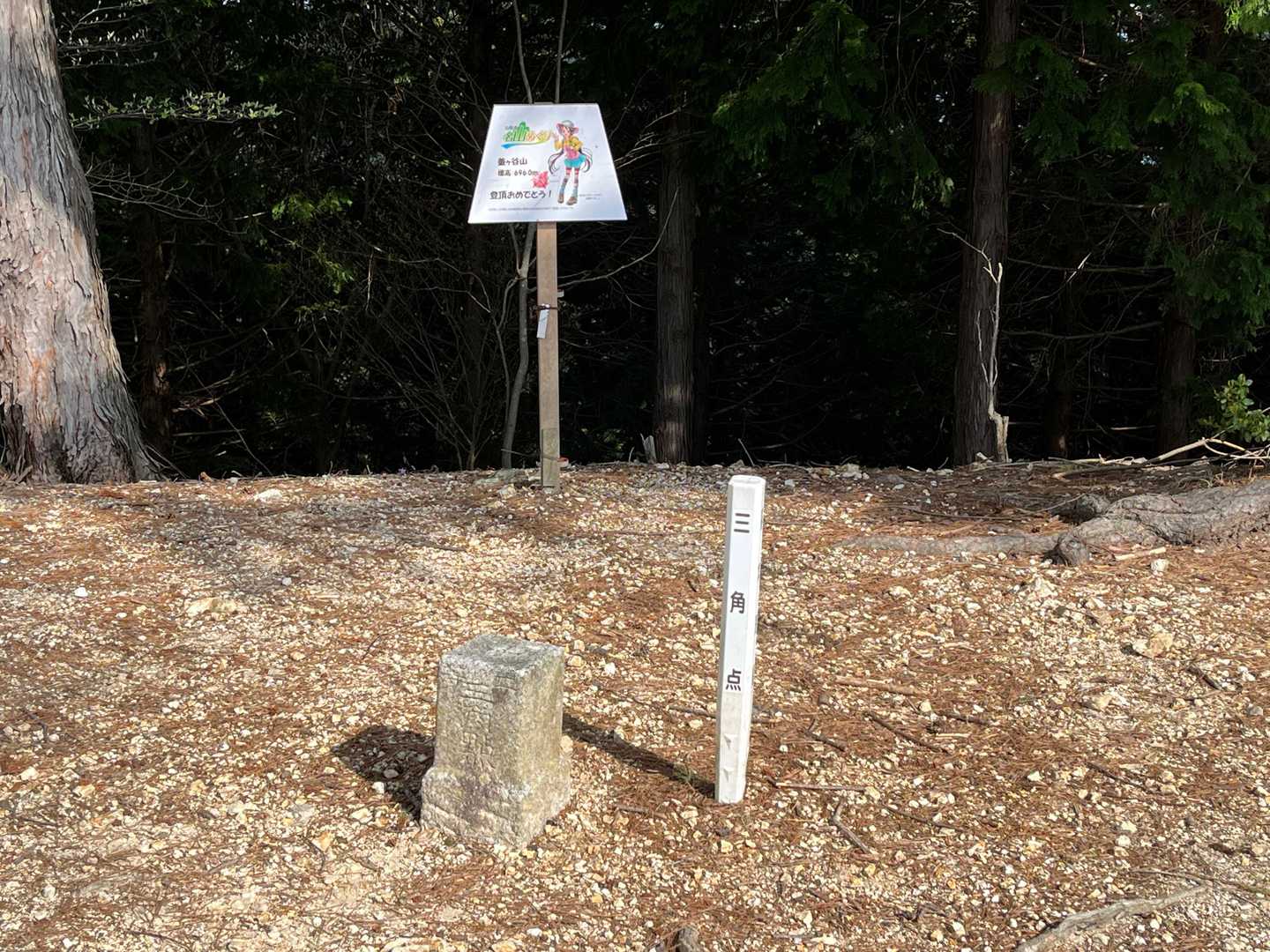 釜ヶ谷山山頂　