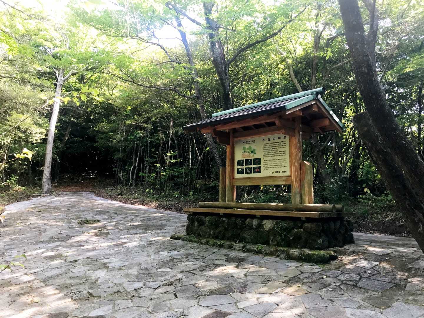 矢岳-高岩山登り口-高岩山 周回コースの写真