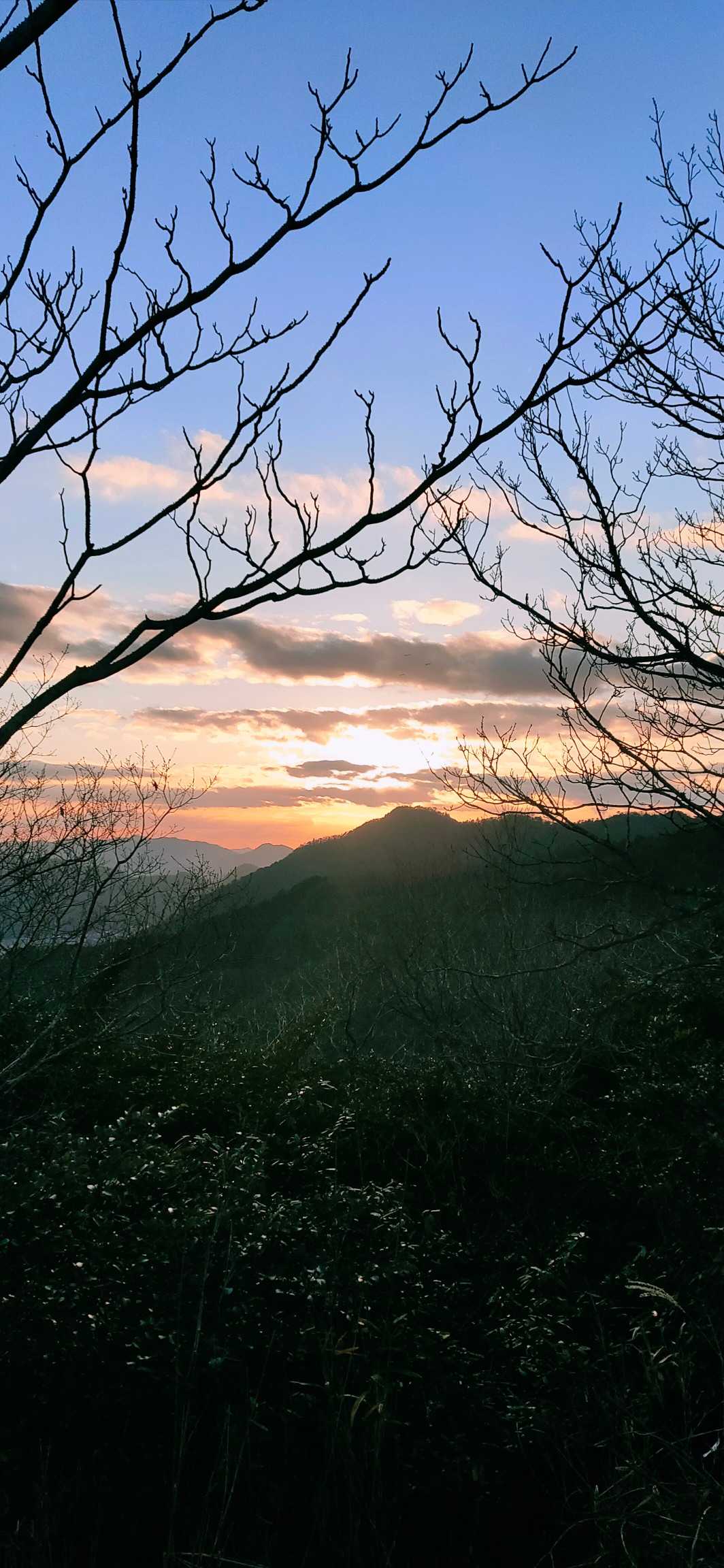 イタリ山の写真