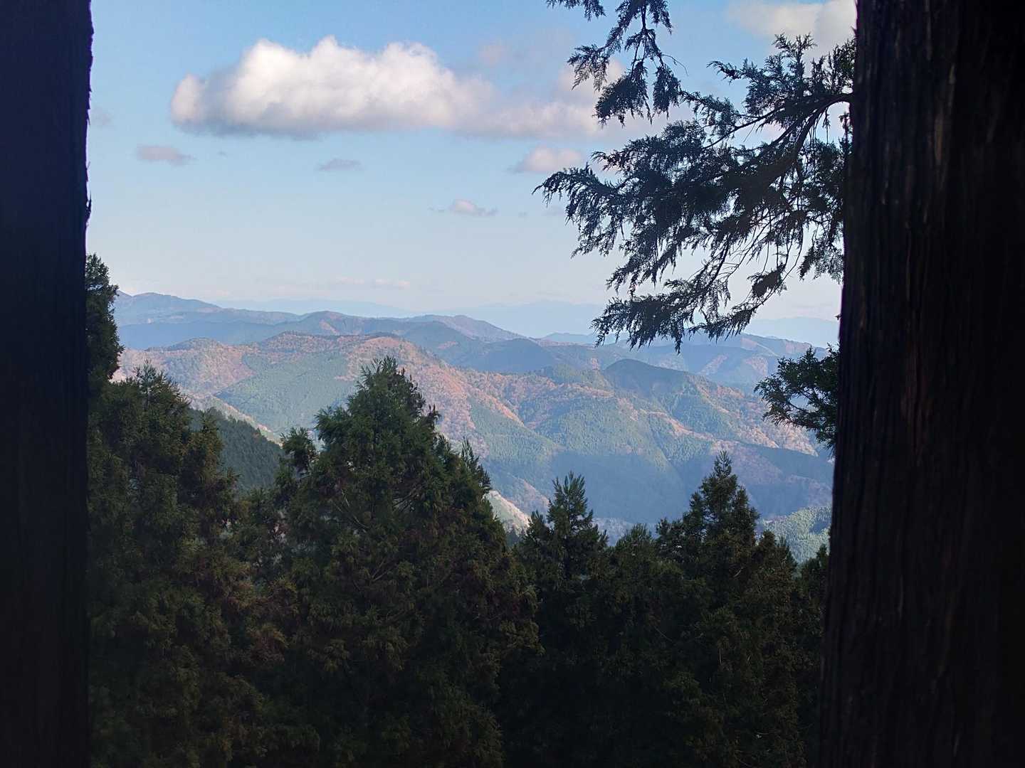 春埜山-鳥居沢山 周回コースの写真
