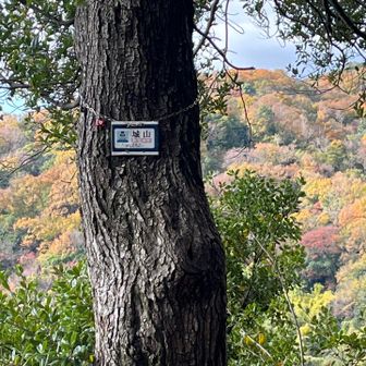 最初のピーク•城山です