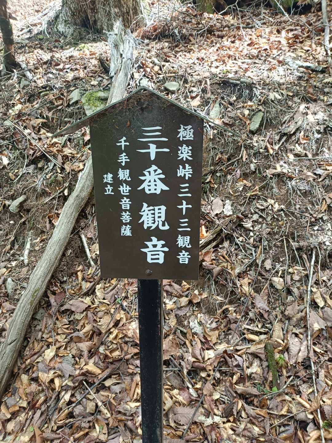 🙋‍♀️三十三観音⁉️

コピペ⬇
この道の歴史は古く、東山道の間道の一つとして発達したと言われ、下條方面と東海地方を結ぶ要路でした。
明治時代に西国三十三所巡りに倣って造られ、大正４年に完成した極楽峠三十三観音を巡る旧道があり、ウォーキングコースとなっています。