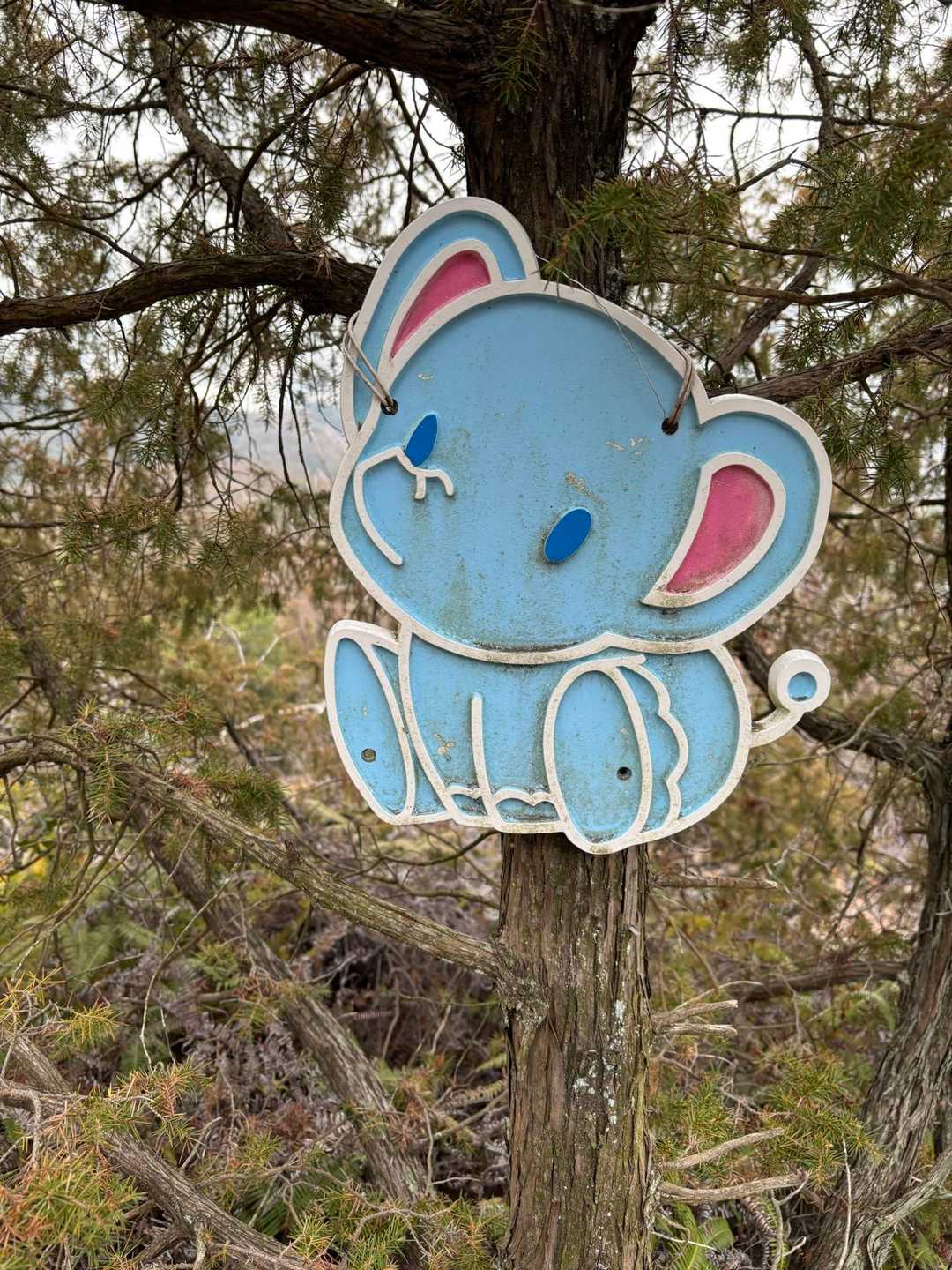 歓喜山-平家山-烏帽子形山 縦走コースの写真