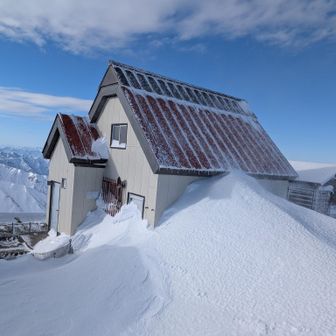 頼母木周辺の強風に耐えてくれています