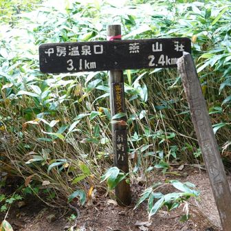富士見ベンチまで下りてきた。あとベンチが三つだ…