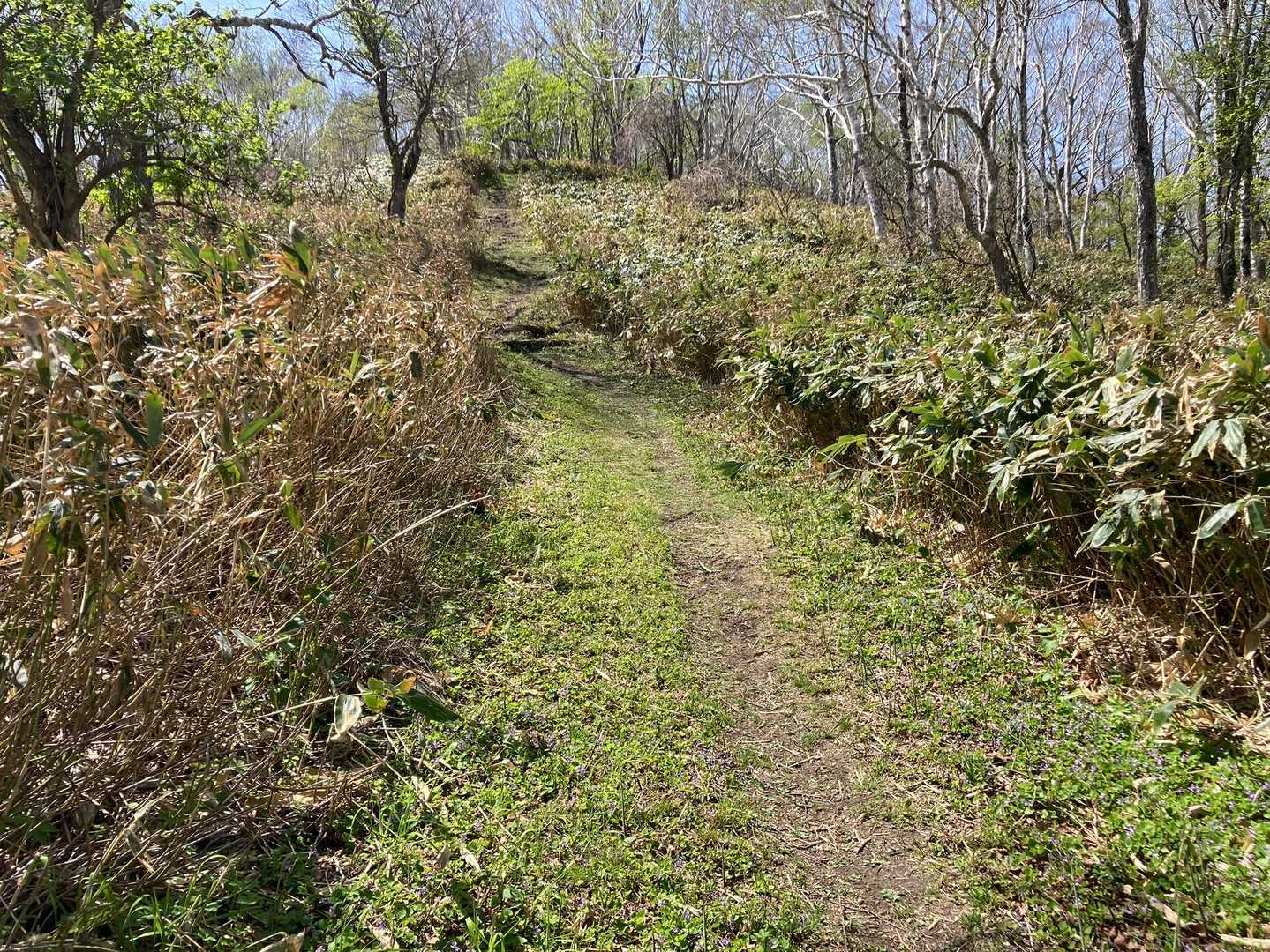 ♪