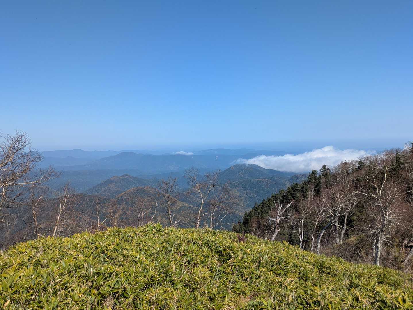 ピリベツ岳山頂から