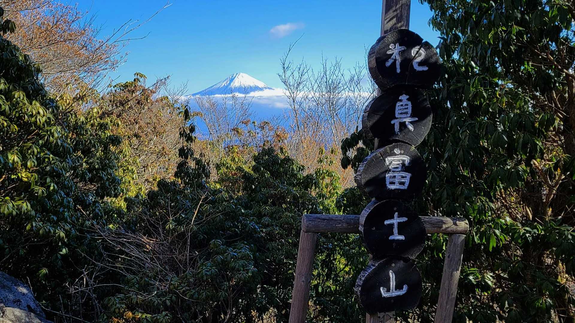 表紙写真用の１枚🗻
