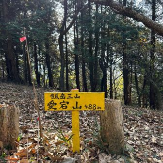 2つ目の山
ここにはテーブルとイスが1組ありました
ここでお昼休憩🥪
急坂登ってきた後のご飯は格別に美味しい😋