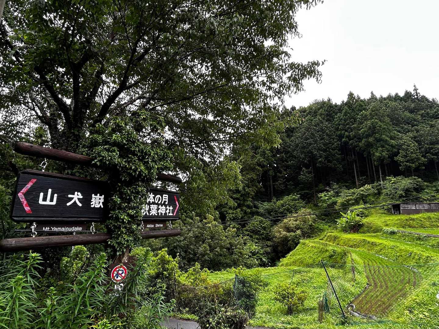 山犬嶽登山口-山犬獄 往復コースの写真
