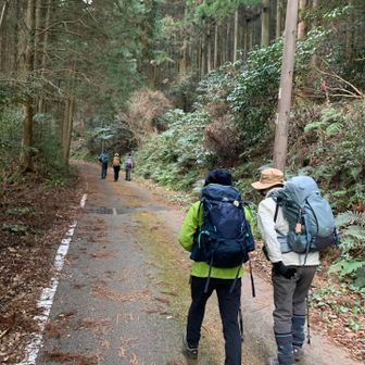 昨日と同じコースを歩きます。