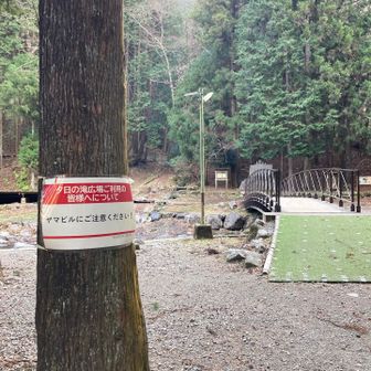 ヤマビルでるのね