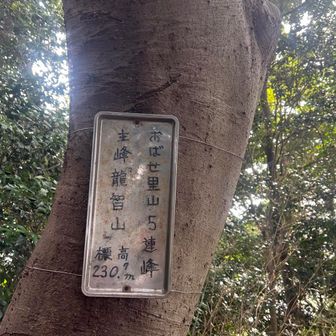 3座目　龍智山⛰️