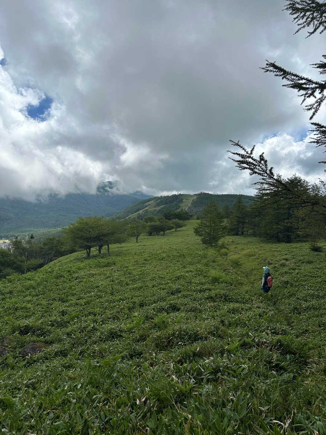 蓼科山登山口-八子ヶ峰東峰-八子ヶ峰 縦走コースの写真