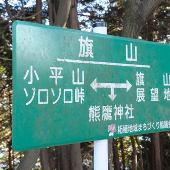 足が痛いけど、せっかくなので展望地まで行ってみる