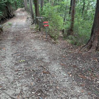 いきに通った分岐
帰りは右手の沢沿いの登山道へ