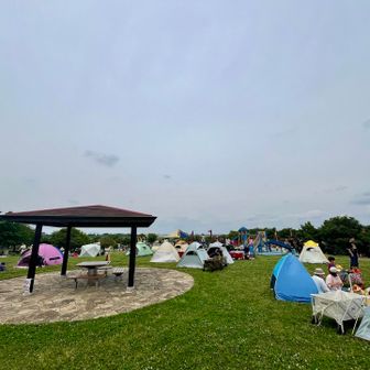 【やまと山】標高53.3m⛰️複数のベンチや東屋があってランチ＆休憩にピッタリです╰(*´︶`*)╯♡🍱🍙🍵🍡