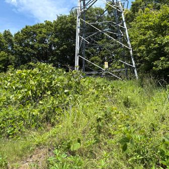 踏み跡をたどって鉄塔の下を行くと