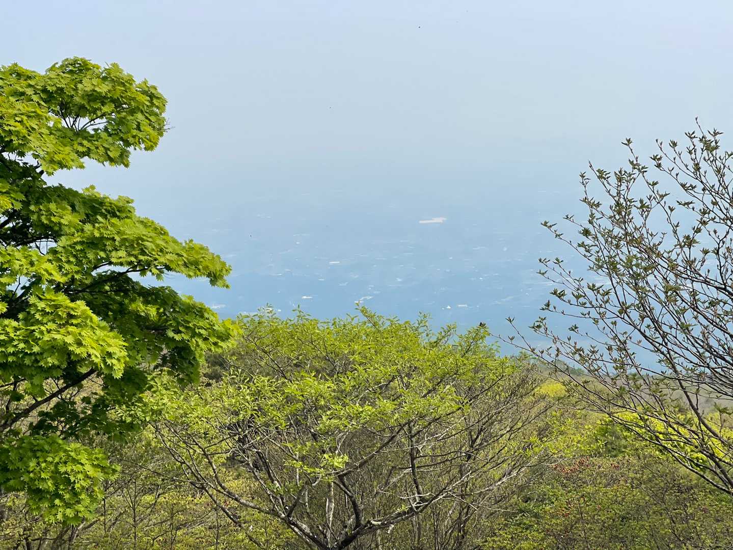 私、大体眺望運無いんで
慣れてるんで大丈夫