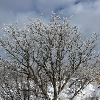 もっと青空🟦が欲しい😌